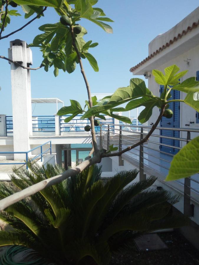 B&B Conca Del Faro Mattinata Bagian luar foto